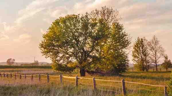 Describe a place you visited and enjoyed in the countryside