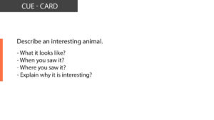 Ielts speaking describe an interesting animal
