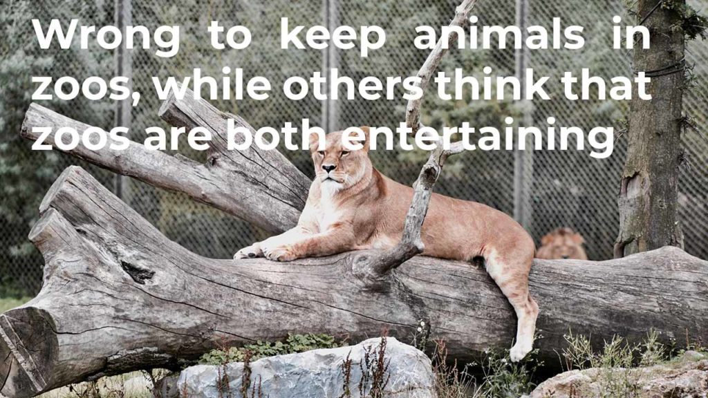 some-people-believe-that-it-is-wrong-to-keep-animals-in-zoos-while