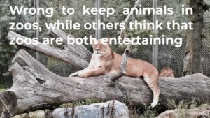 Some people believe that it is wrong to keep animals in zoos while others think that zoos are both entertaining and ecologically important.Discuss both views.