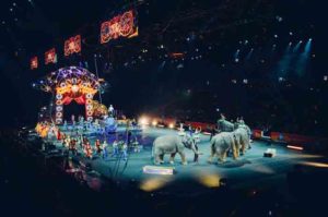 In your opinion why is the circus still a popular form of entertainment