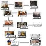 IELTS Academic Writing Task 1 the diagram details the process of making wool.