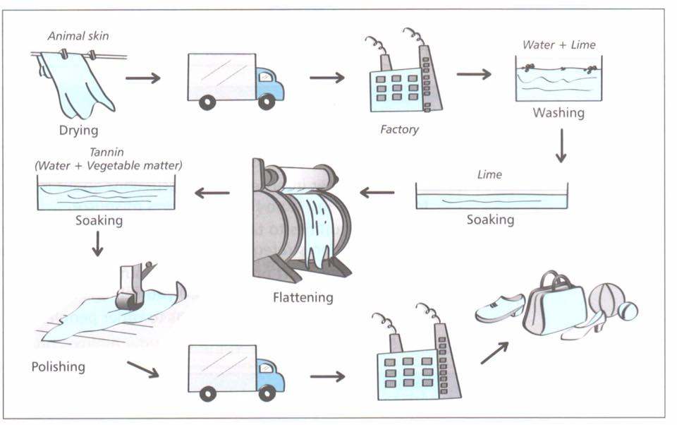 The diagram details the process of making leather products